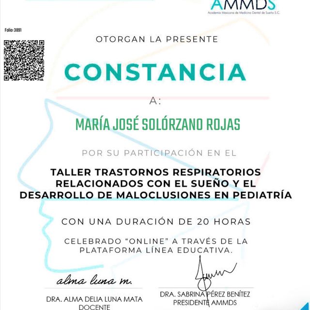 Ampliar imagen: certificate 3
