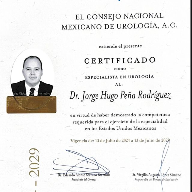 Ampliar imagen: certificate 1