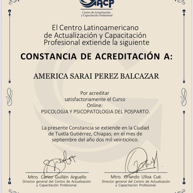 Ampliar imagen: certificate 28