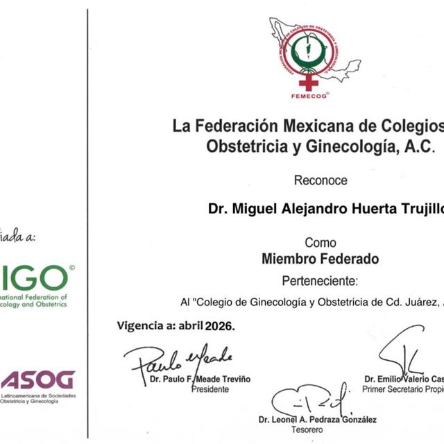 Ampliar imagen: certificate 4