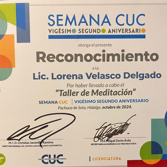 Ampliar imagen: certificate 3