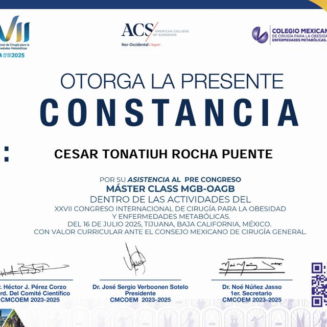 Ampliar imagen: certificate 61
