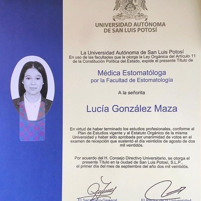 Ampliar imagen: certificate 2