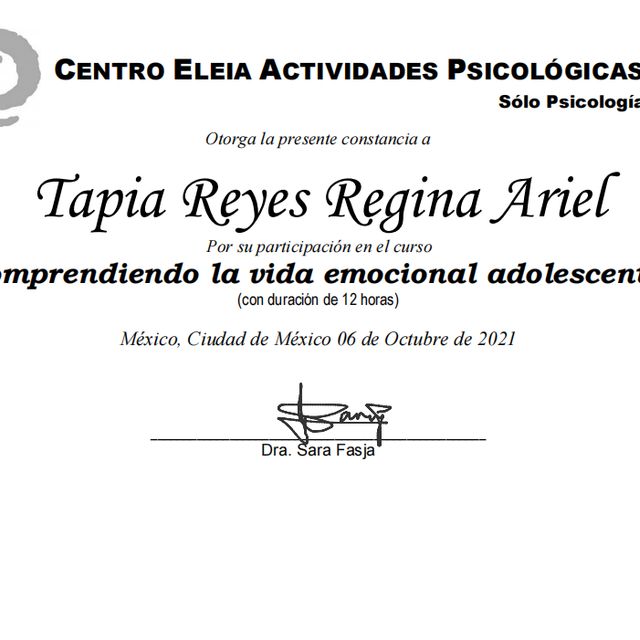Ampliar imagen: certificate 5