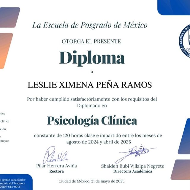 Ampliar imagen: certificate 1