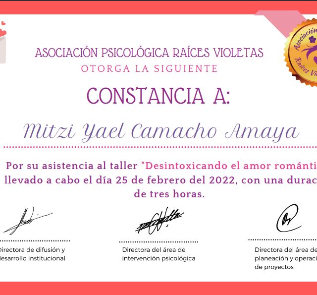Ampliar imagen: certificate 7