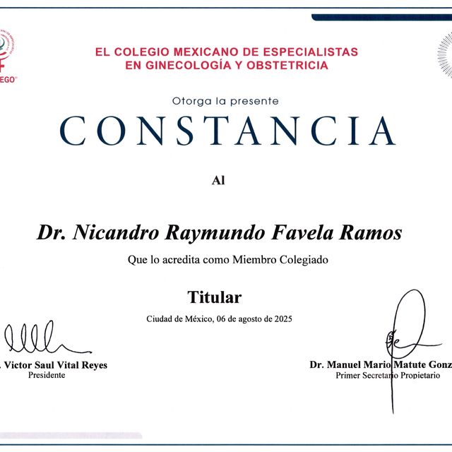 Ampliar imagen: certificate 3