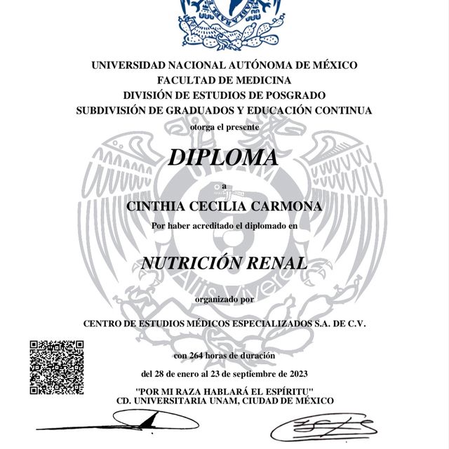 Ampliar imagen: certificate 2