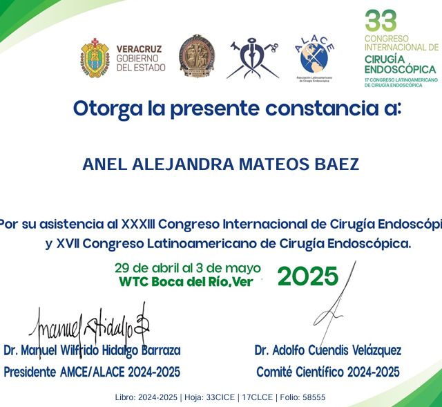 Ampliar imagen: certificate 4
