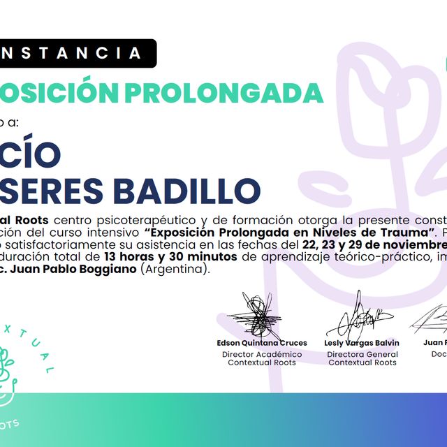 Ampliar imagen: certificate 11