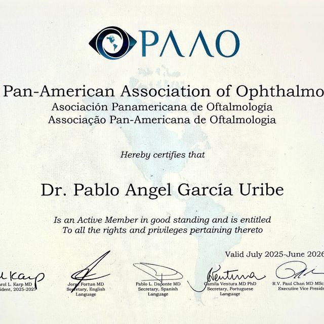 Ampliar imagen: certificate 5