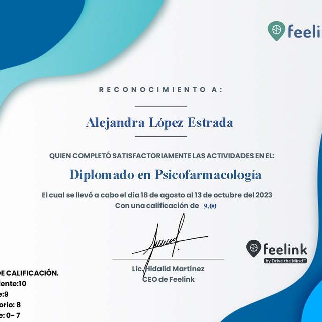 Ampliar imagen: certificate 8