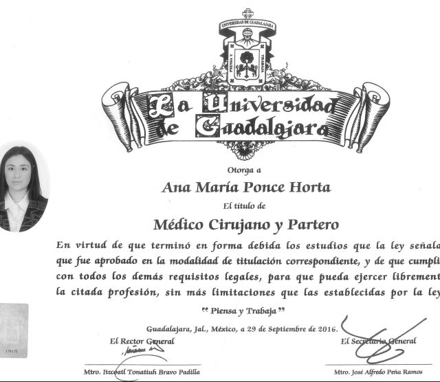 Ampliar imagen: certificate 4