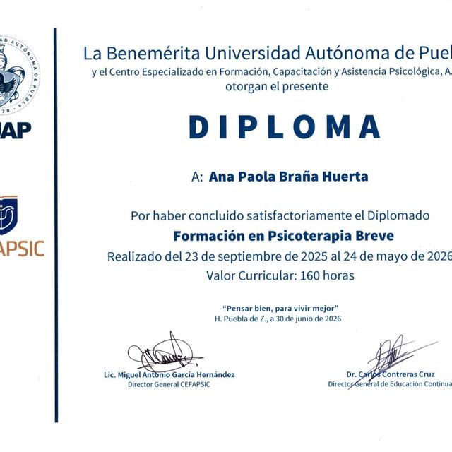 Ampliar imagen: certificate 5