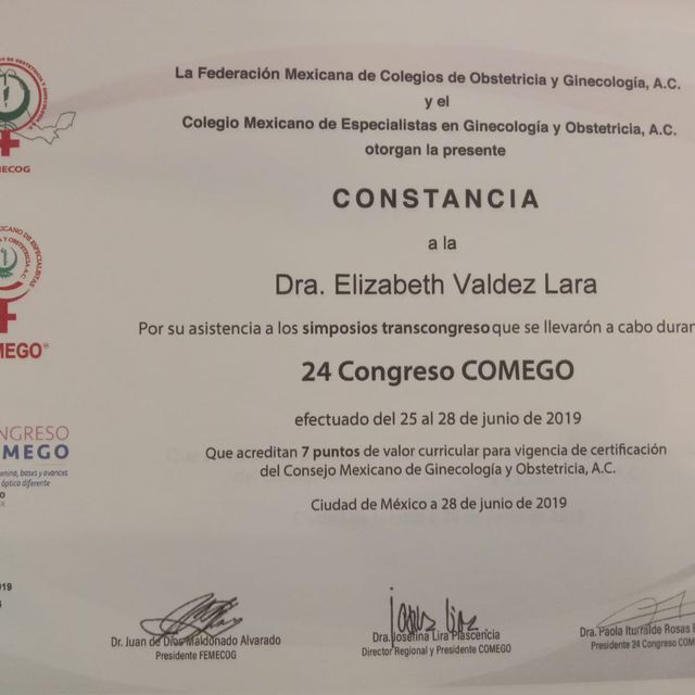 Ampliar imagen: certificate 16