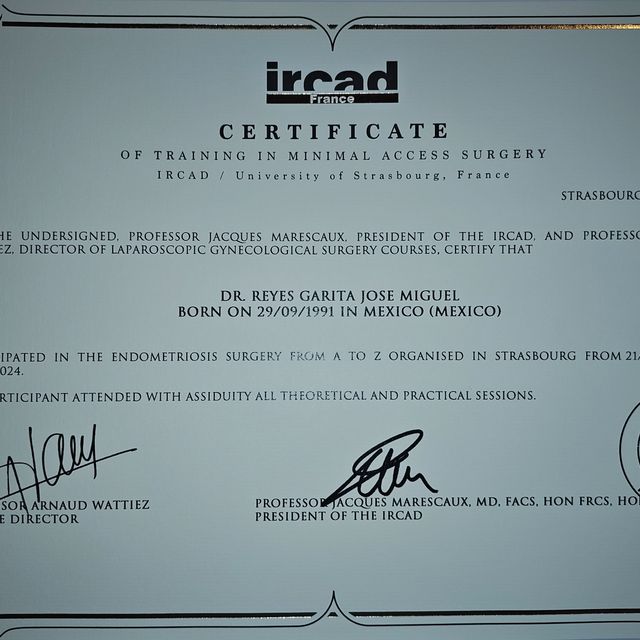 Ampliar imagen: certificate 3