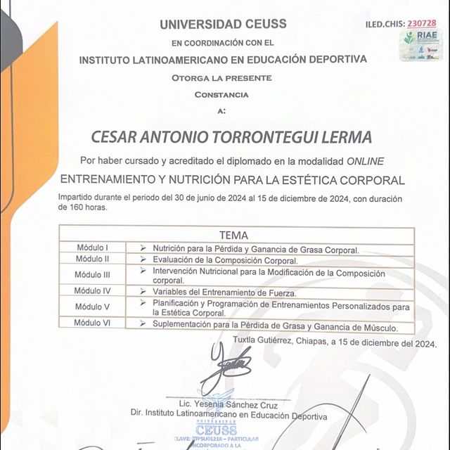 Ampliar imagen: certificate 3