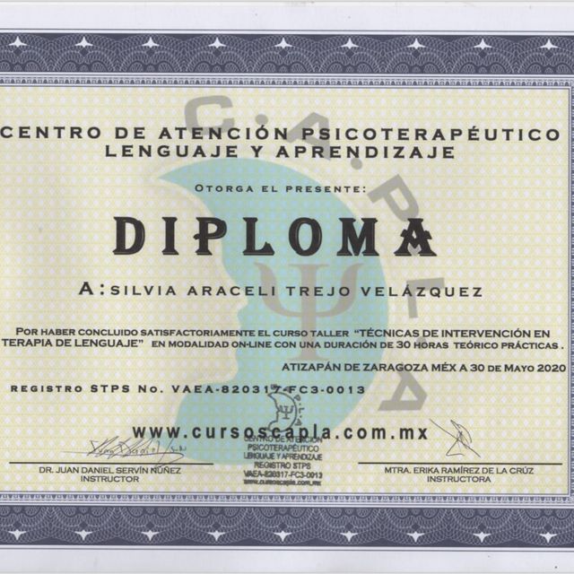Ampliar imagen: certificate 21