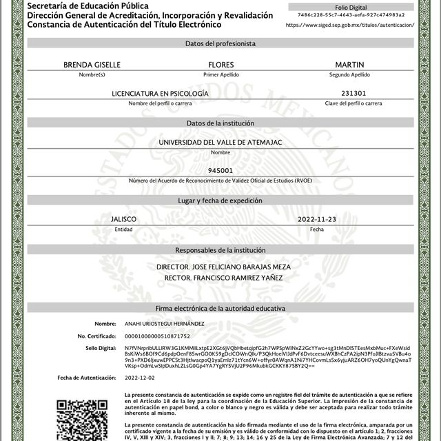 Ampliar imagen: certificate 3