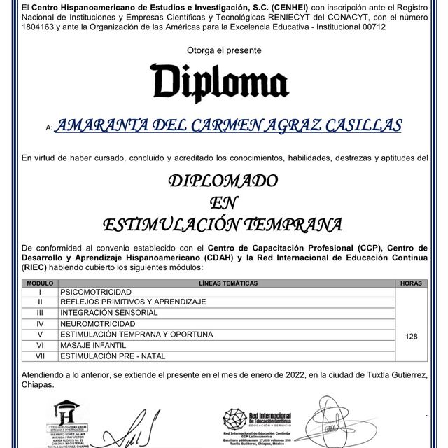 Ampliar imagen: certificate 2