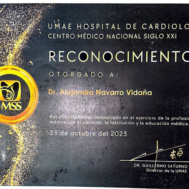 Ampliar imagen: certificate 7