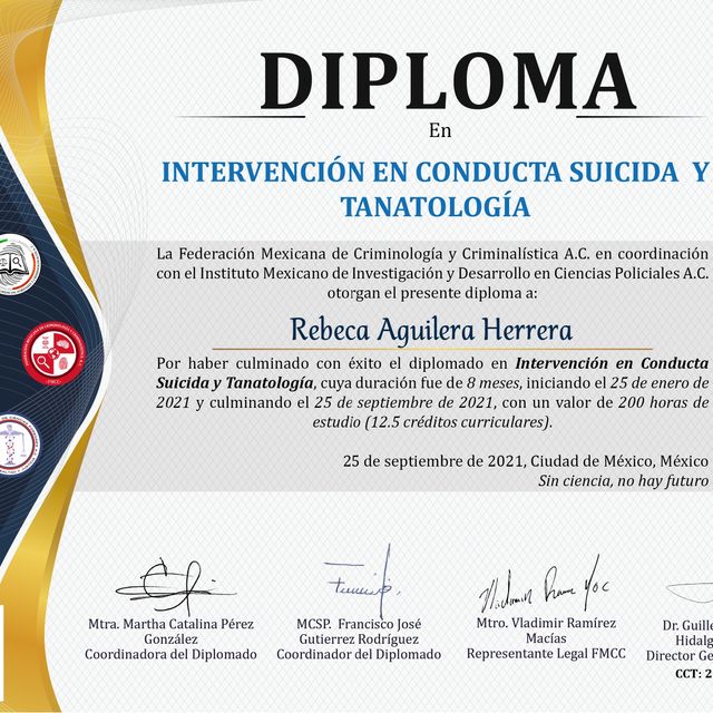 Ampliar imagen: certificate 3