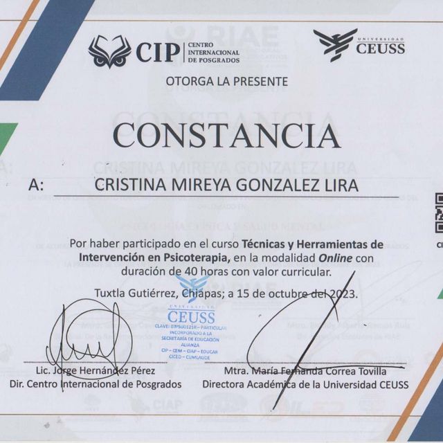 Ampliar imagen: certificate 4