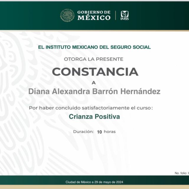 Ampliar imagen: certificate 4