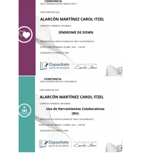 Ampliar imagen: certificate 2