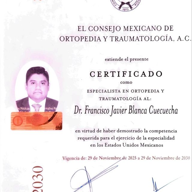 Ampliar imagen: certificate 1