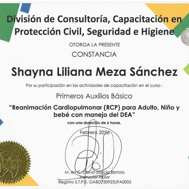 Ampliar imagen: certificate 1