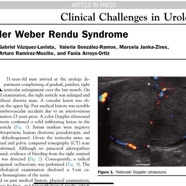 Ampliar imagen: certificate 4