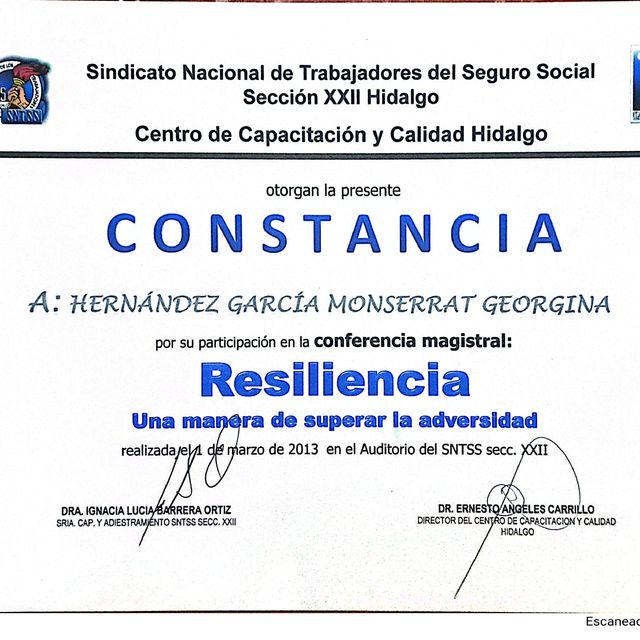 Ampliar imagen: certificate 23