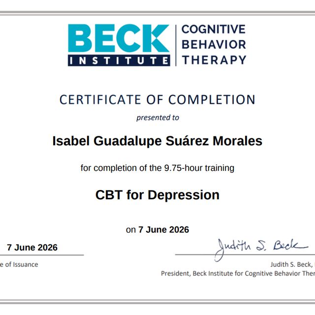 Ampliar imagen: certificate 6