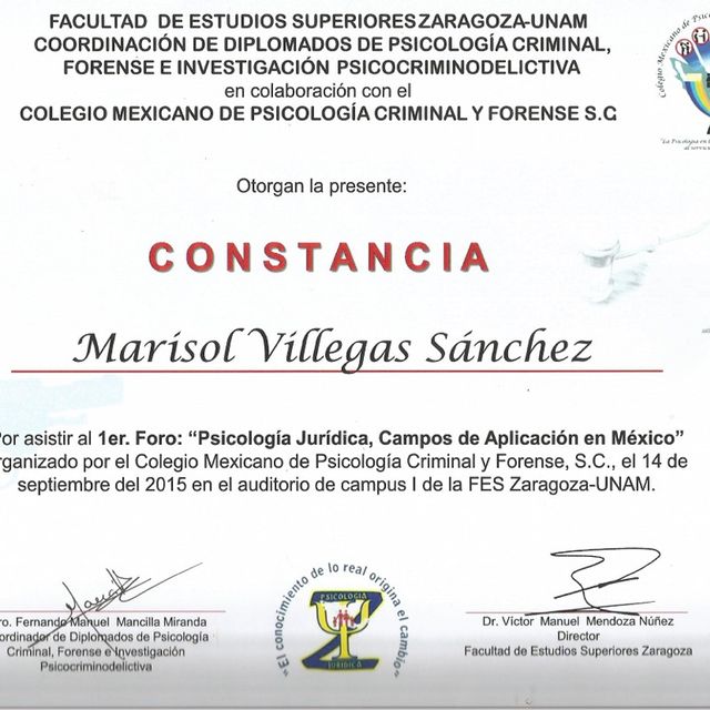 Ampliar imagen: certificate 11