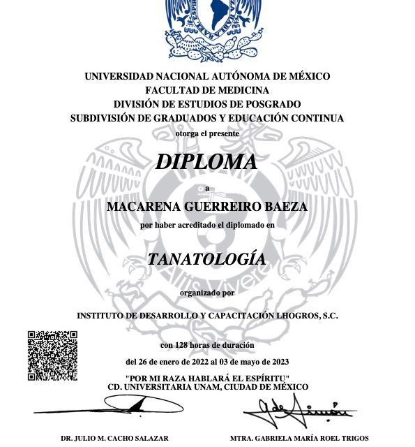 Ampliar imagen: certificate 2