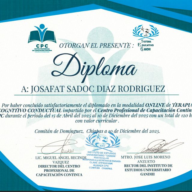 Ampliar imagen: certificate 9