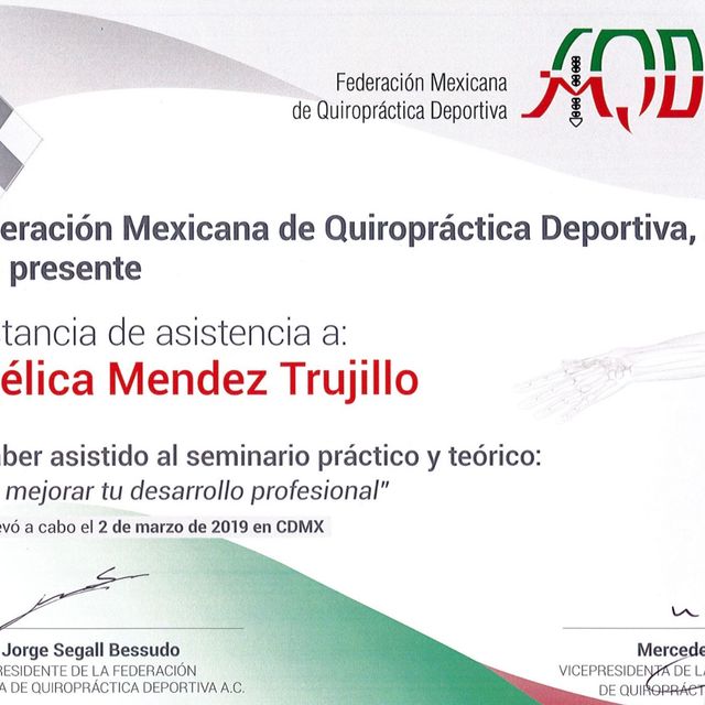 Ampliar imagen: certificate 17