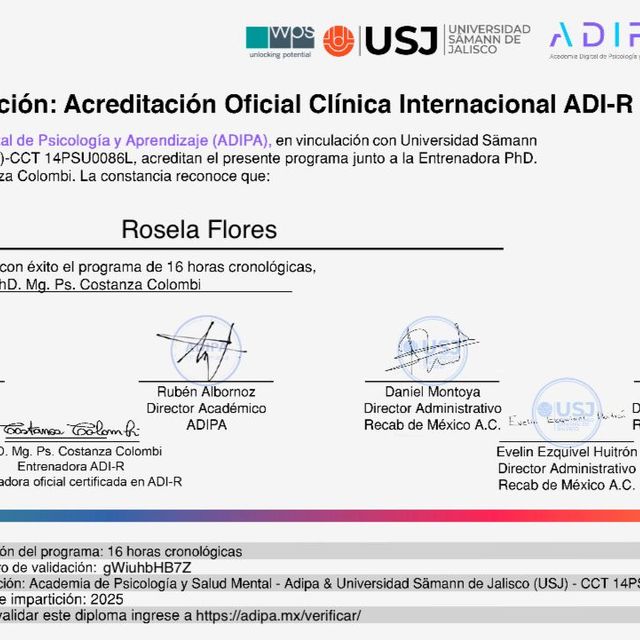 Ampliar imagen: certificate 5