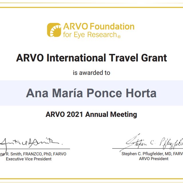 Ampliar imagen: certificate 2