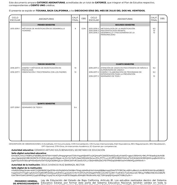 Ampliar imagen: certificate 3