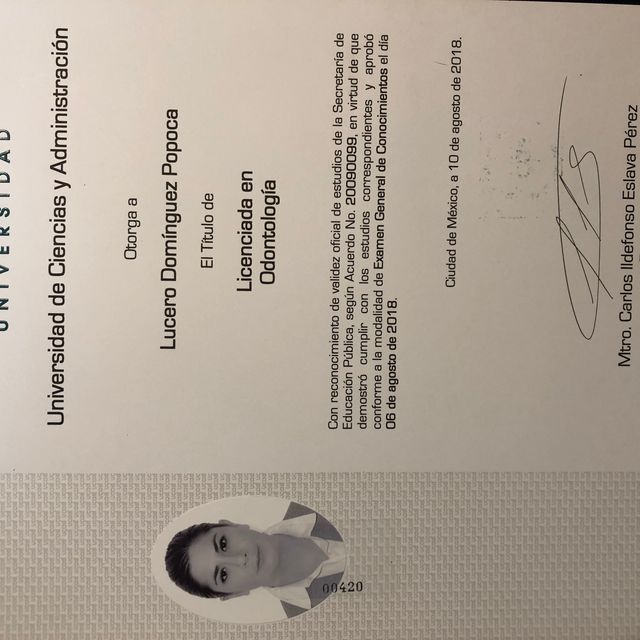 Ampliar imagen: certificate 5