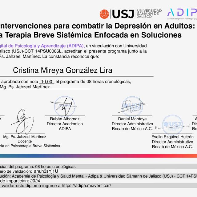 Ampliar imagen: certificate 11