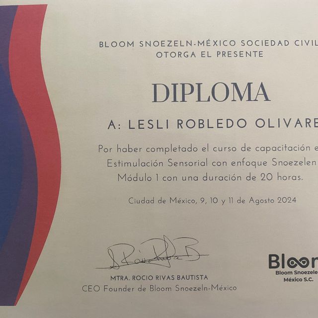 Ampliar imagen: certificate 3