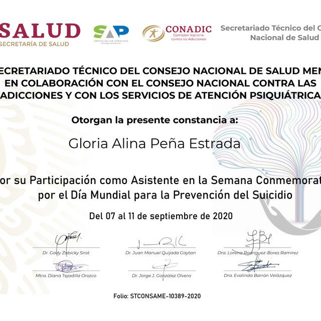 Ampliar imagen: certificate 4