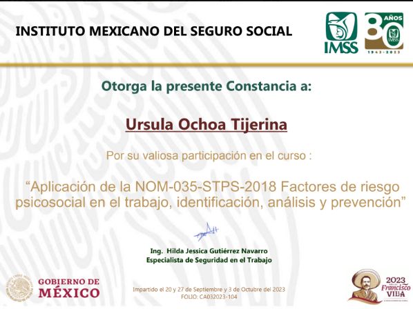 Ampliar imagen: certificate 12