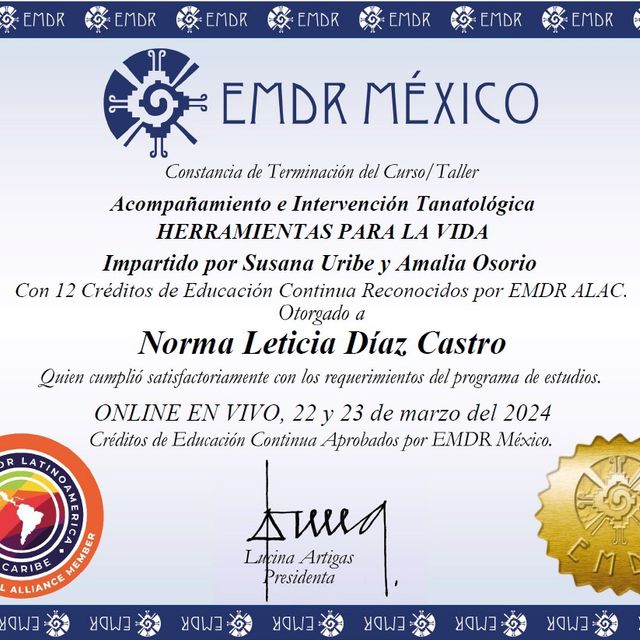 Ampliar imagen: certificate 6