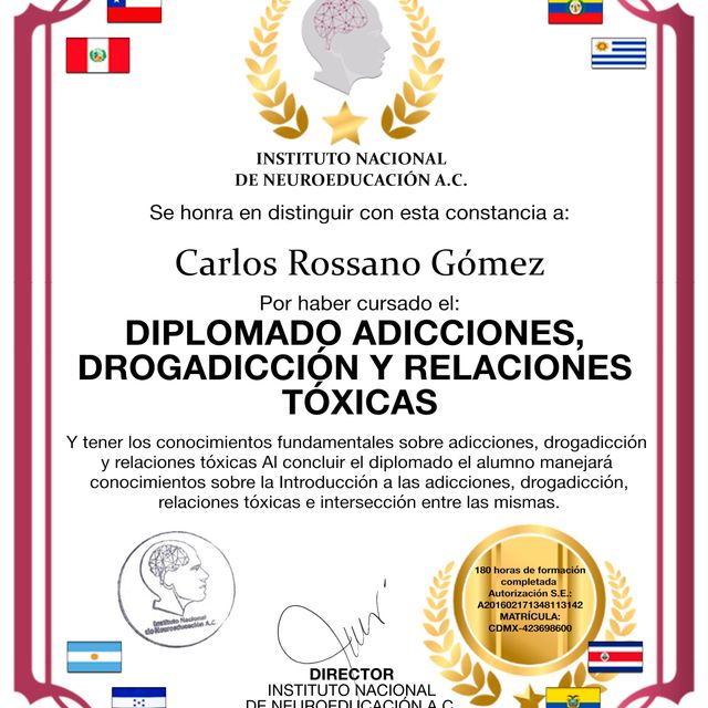 Ampliar imagen: certificate 2
