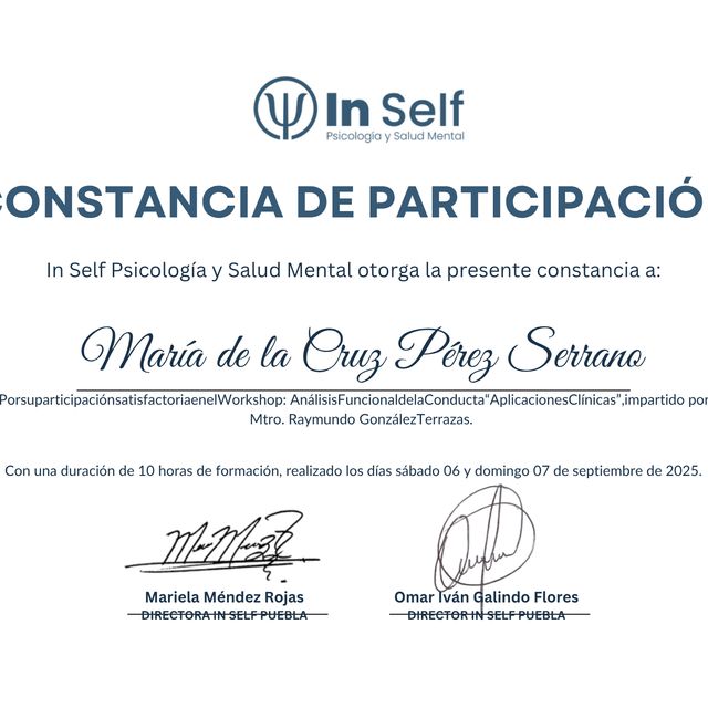 Ampliar imagen: certificate 7