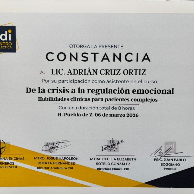 Ampliar imagen: certificate 7